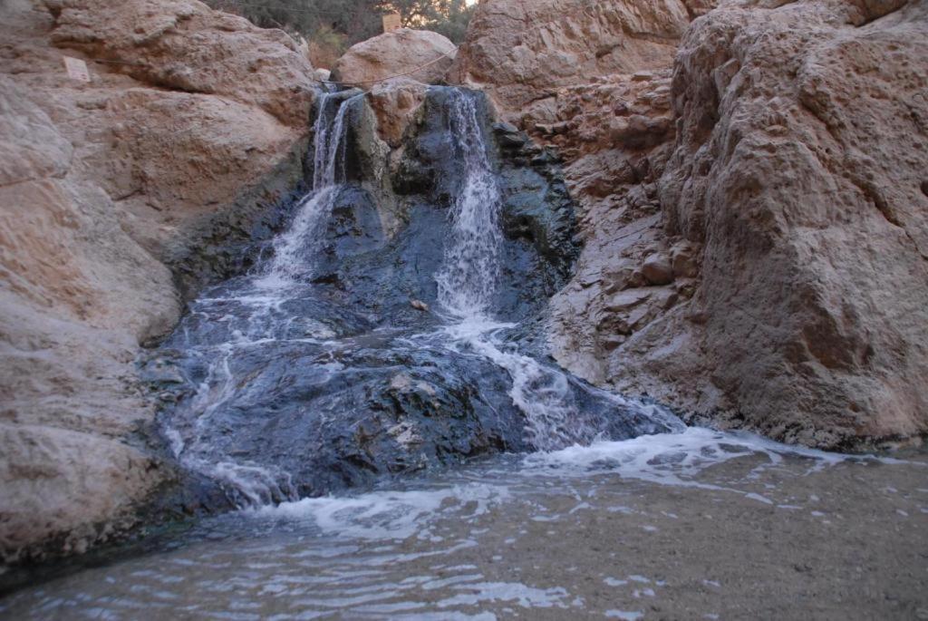 Ein Gedi Rooms Neve Zohar Dış mekan fotoğraf