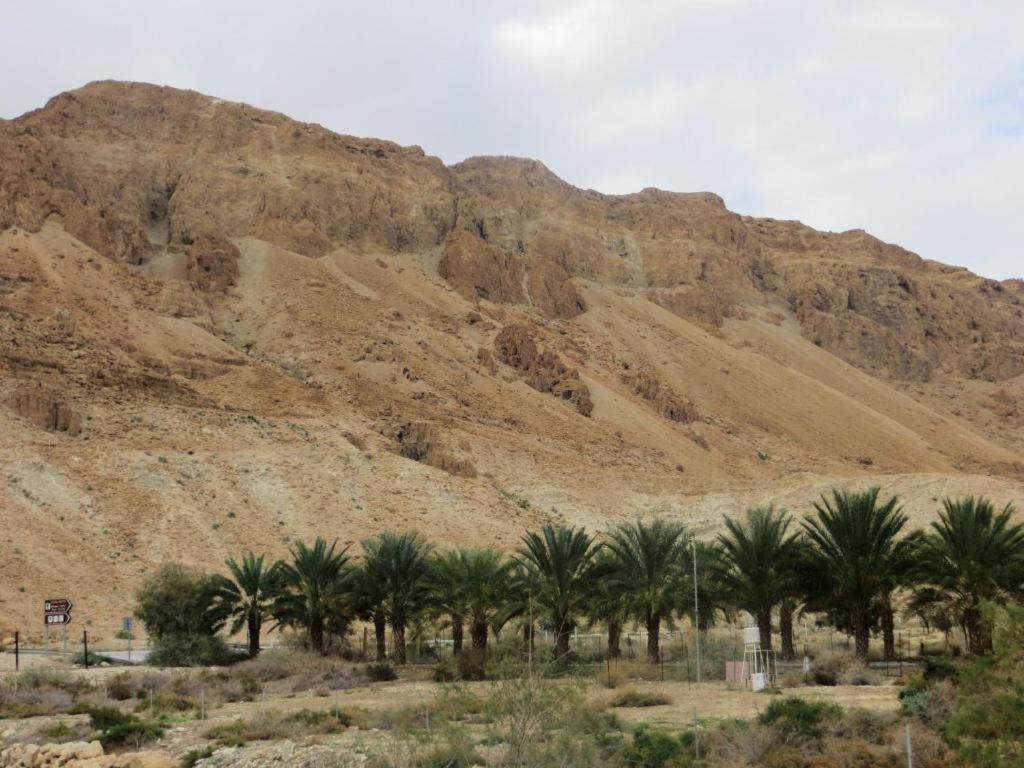Ein Gedi Rooms Neve Zohar Dış mekan fotoğraf