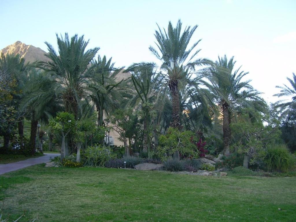 Ein Gedi Rooms Neve Zohar Dış mekan fotoğraf